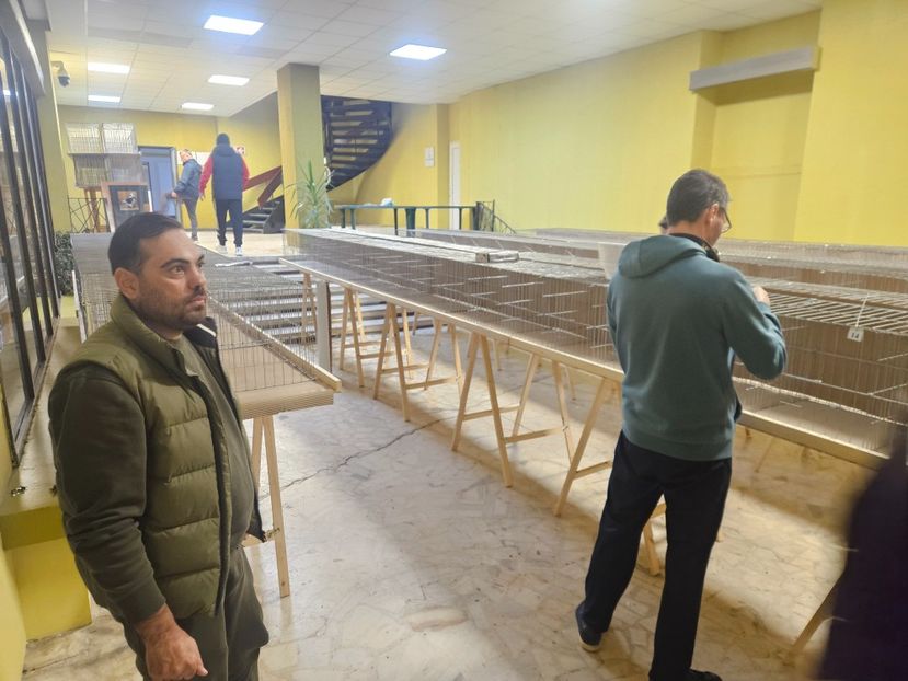  - EXPOZIȚIE CLUB CAGHR 2025
