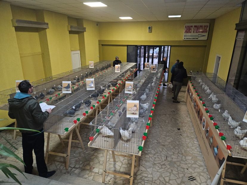  - EXPOZIȚIE CLUB CAGHR 2025