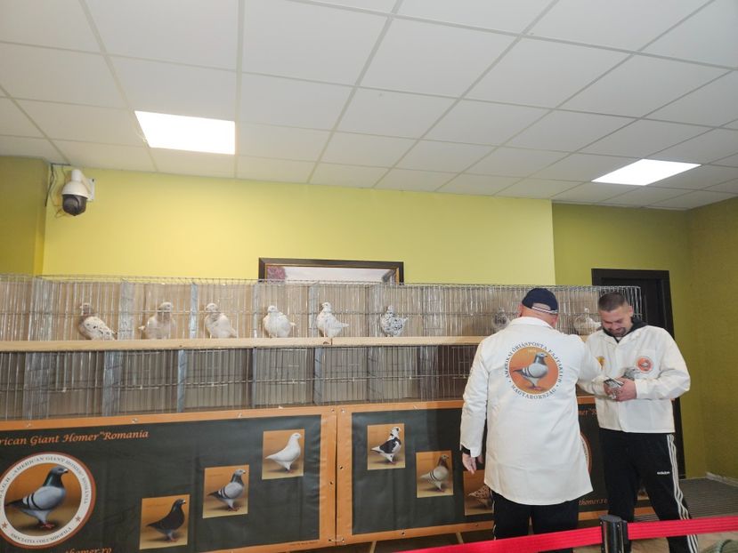 - EXPOZIȚIE CLUB CAGHR 2025