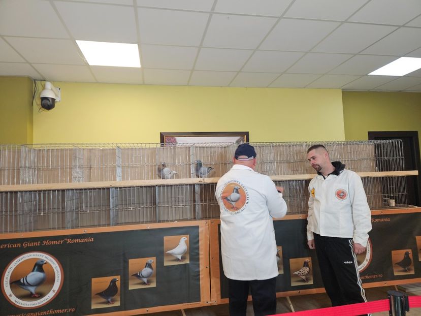  - EXPOZIȚIE CLUB CAGHR 2025
