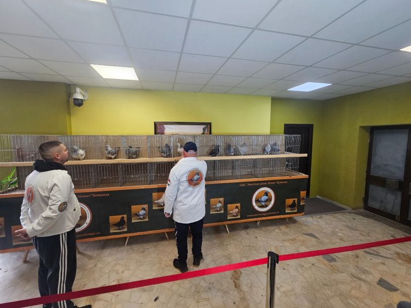  - EXPOZIȚIE CLUB CAGHR 2025