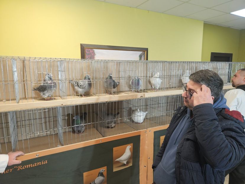  - EXPOZIȚIE CLUB CAGHR 2025