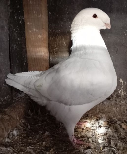 M 2023 - AGH PENTRU 2025