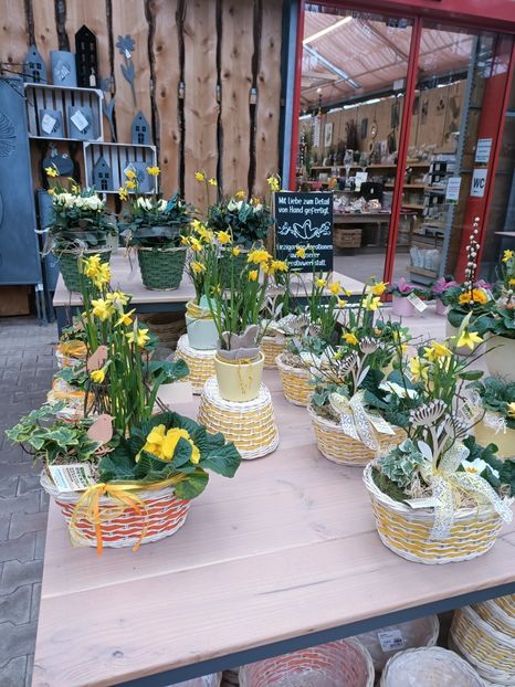 Img.2025.01.15 - Magazinul 4