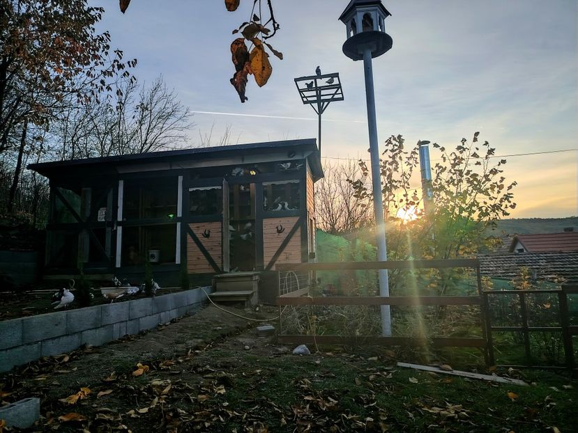  - Voliera de la țară!