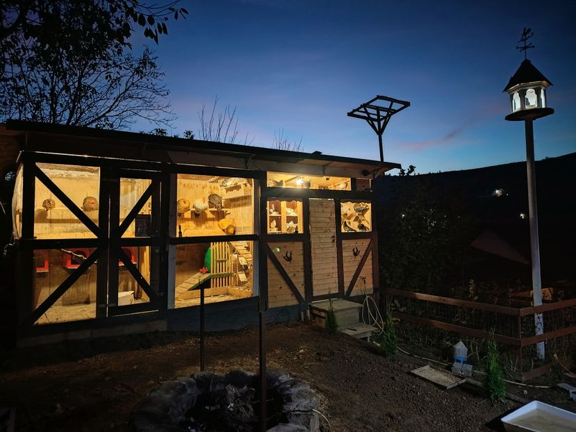  - Voliera de la țară!