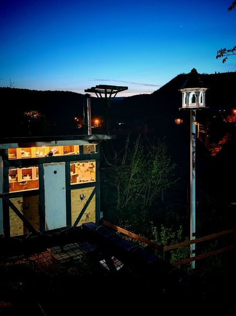  - Voliera de la țară!