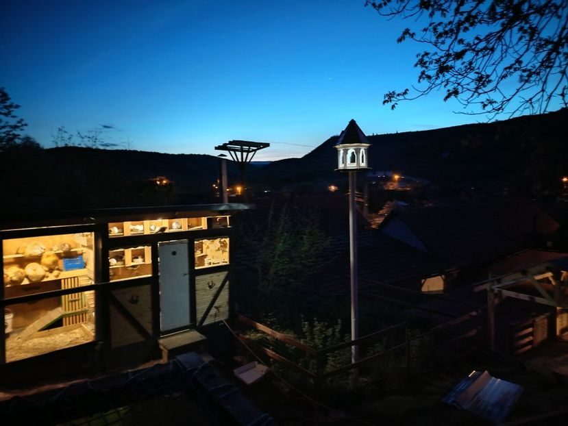  - Voliera de la țară!