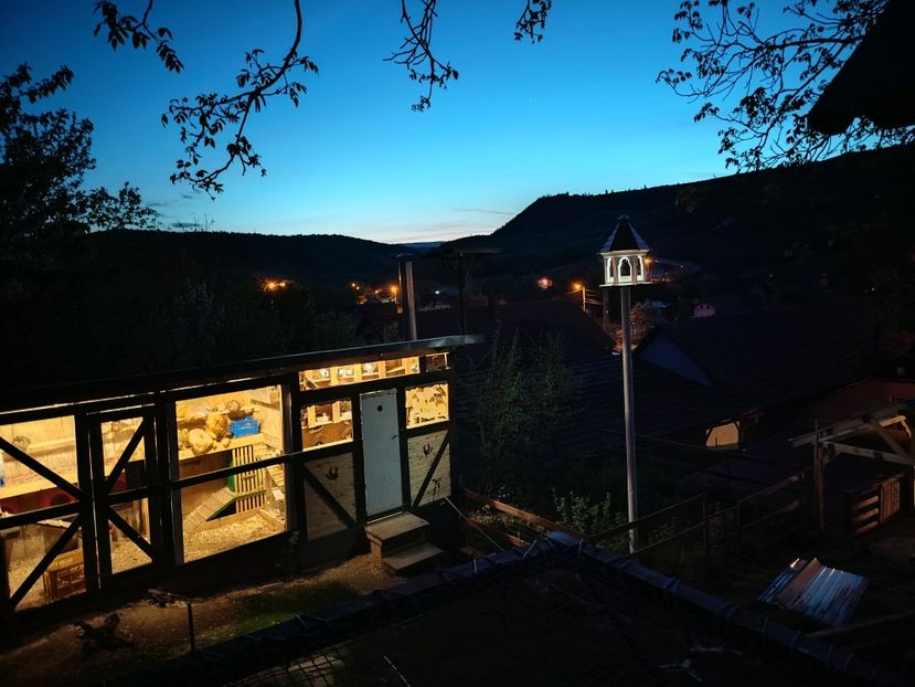  - Voliera de la țară!