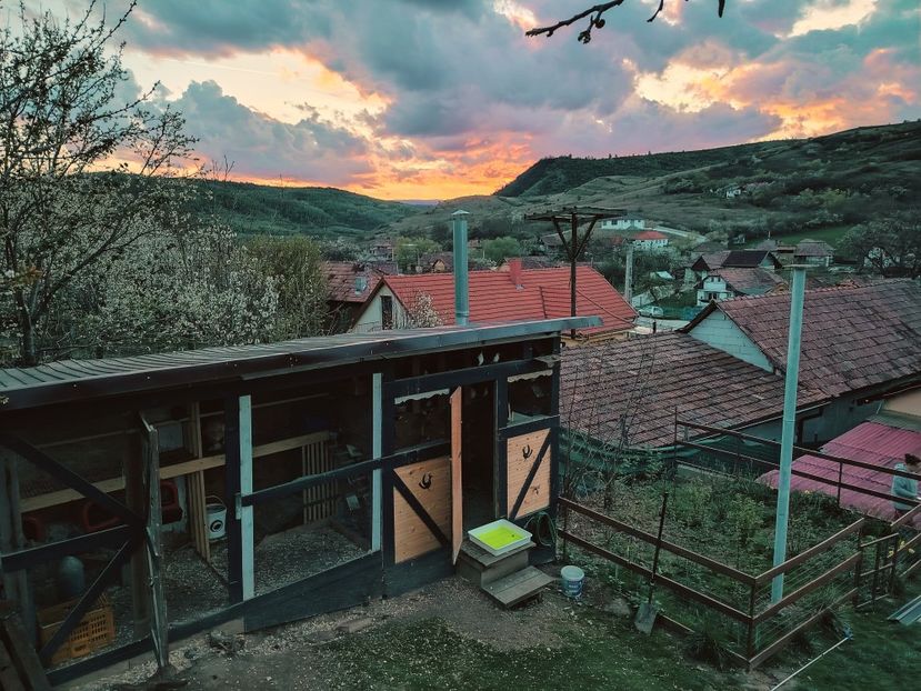  - Voliera de la țară!