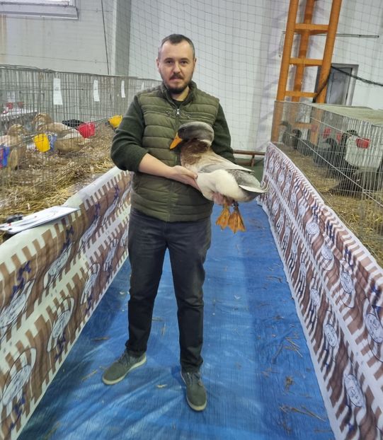 Arbitraj palmipede - 6 - Diverse