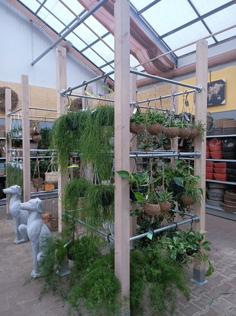 IMG20250115112129 - Magazinul 5