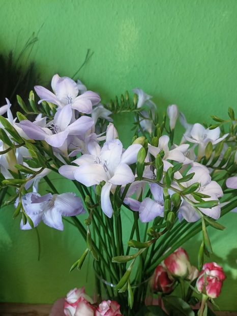 IMG20250118133713 - Magazinul 5