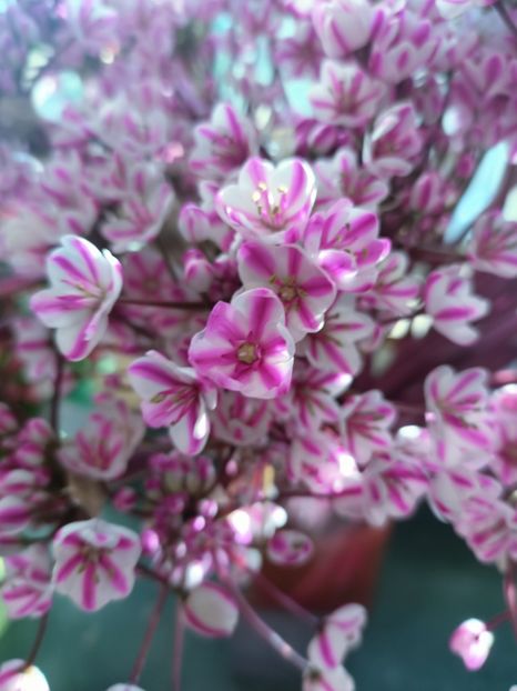 IMG20250118133718 - Magazinul 5