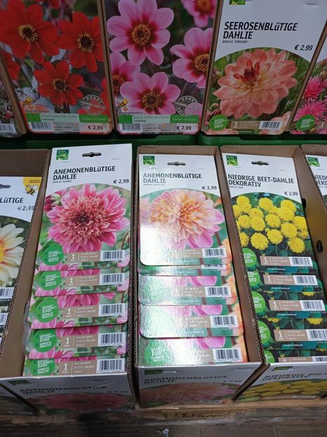 IMG20250124172329 - Magazinul 5