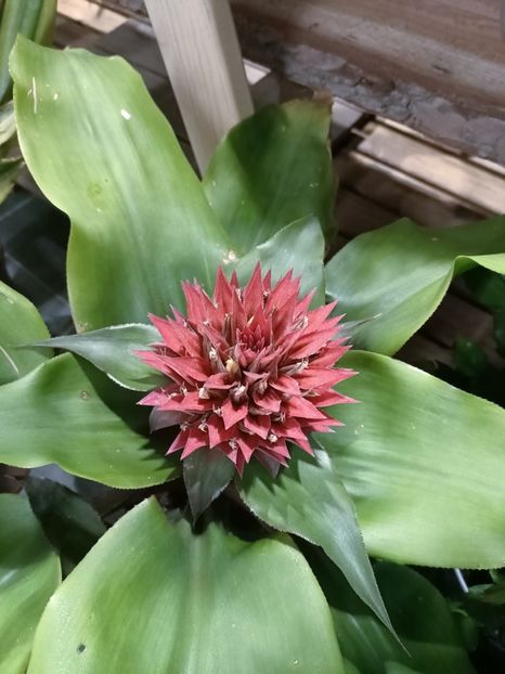 IMG20250124175019 - Magazinul 5