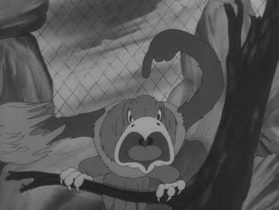 Whos Who In The Zoo - 1942 - Whos Who In The Zoo