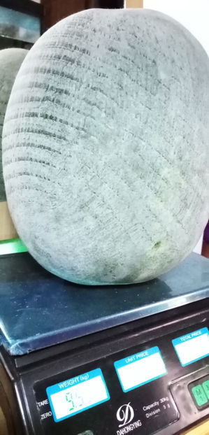  - -PEPENE GALBEN DE IARNA - BENINCASA HISPIDA