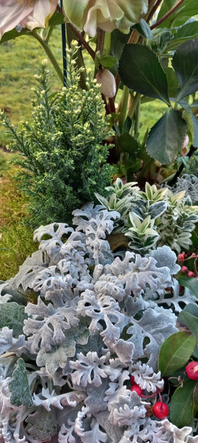  - 2024 - 04 - 2025 - 00 - Iarna