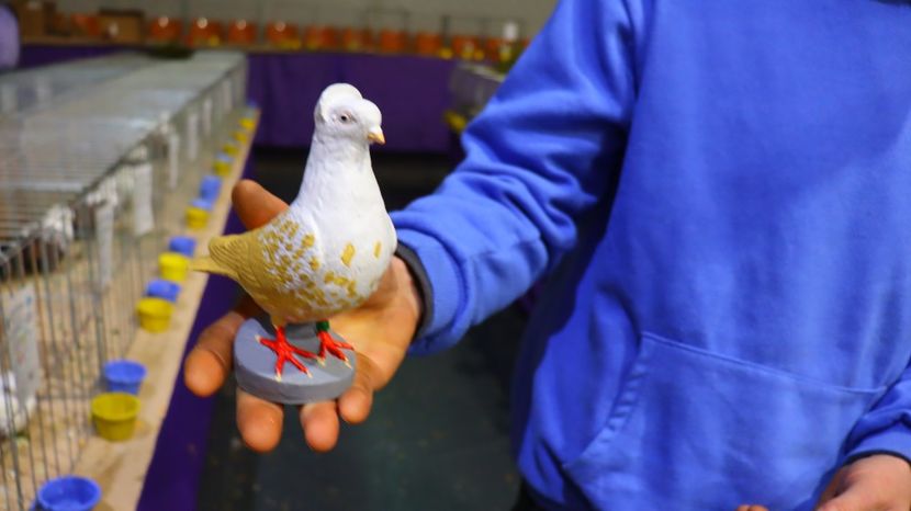  - Timisoara 26-01-2025