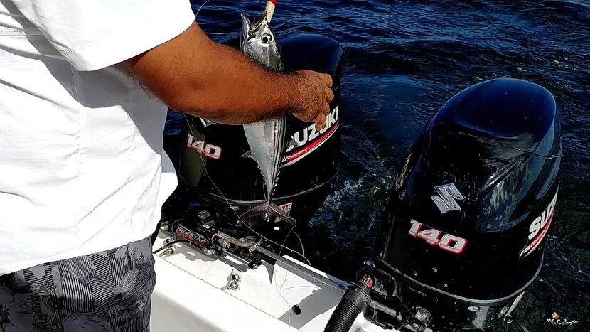 COSTA RICA - OCEAN FISHING 1 - --- COSTA RICA