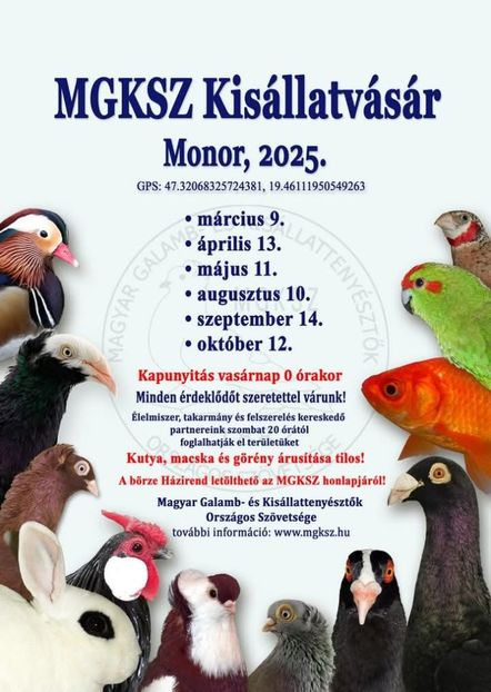  - y-targ-Ungaria- Monor