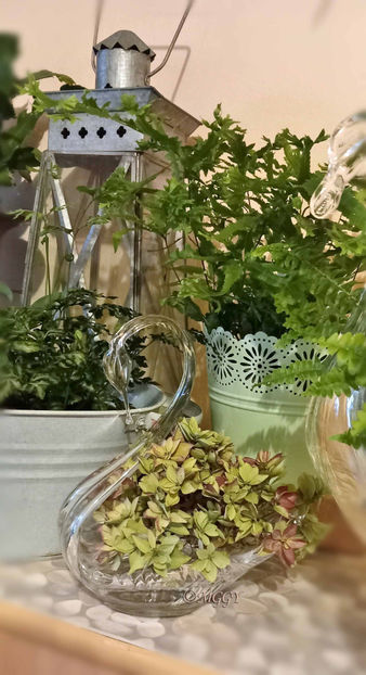  - 2024 - 04 - 2025 - 00 - Iarna