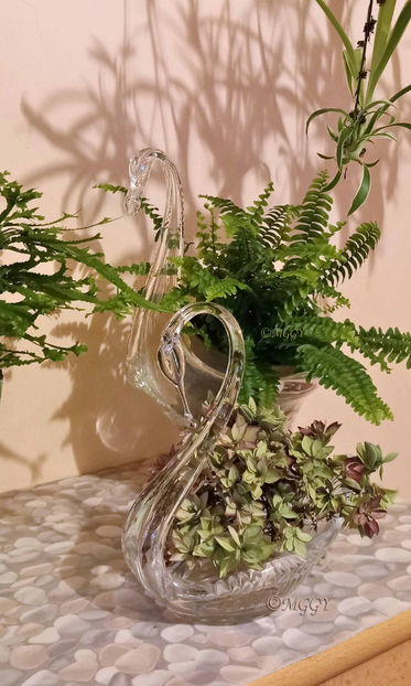 © - 2024 - 04 - 2025 - 00 - Iarna