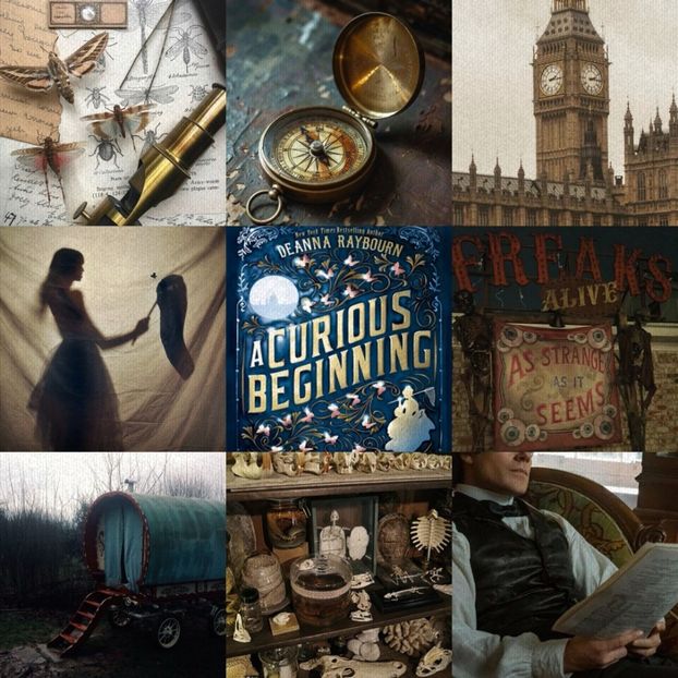 ⠀C̣ụṛịọụṣ Ḅẹg̣. —D♥Raybourn.  ·✭✭✭✭✫·⠀.｡`₁Veronica Speedwell྅Hist. Mystery´ - wipe stardust from your eyes