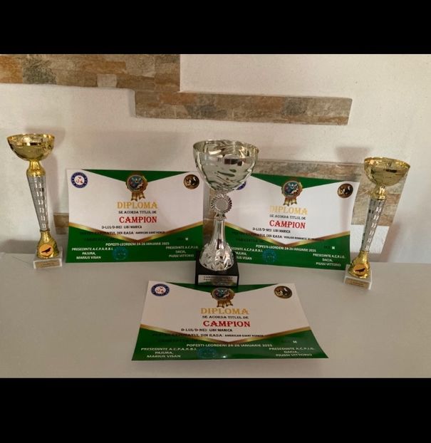  - Expo Popesti Leordeni 24-25 ianuarie 2025