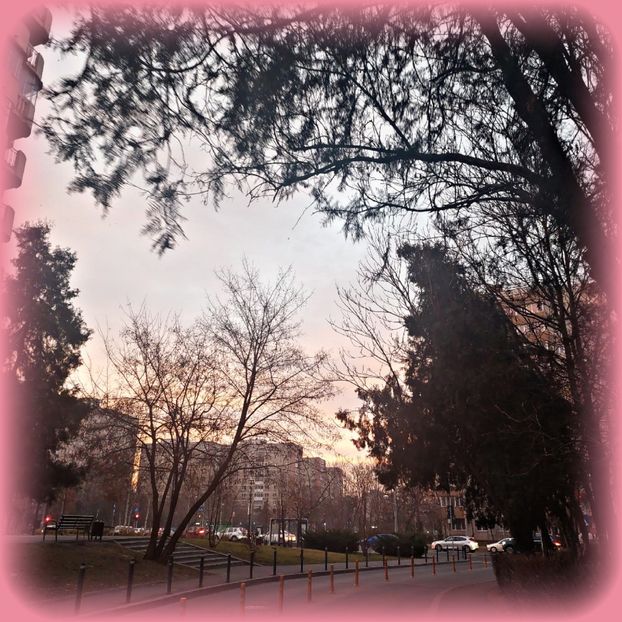 ♡ Day 74 ; 27.01.2025 - Birds of a Feather - STREAK