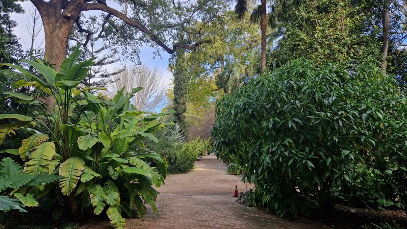  - 2025 Gradina botanica Valencia