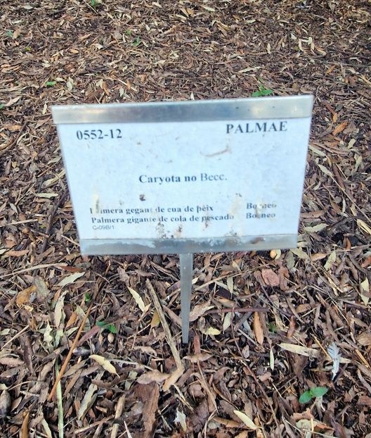  - 2025 Gradina botanica Valencia