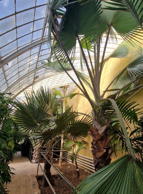  - 2025 Gradina botanica Valencia
