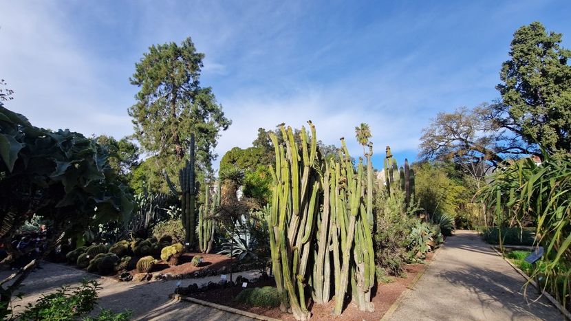  - 2025 Gradina botanica Valencia