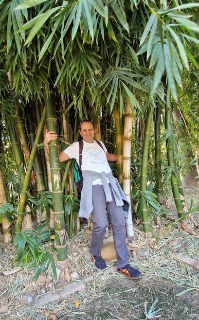  - 2025 Gradina botanica Valencia