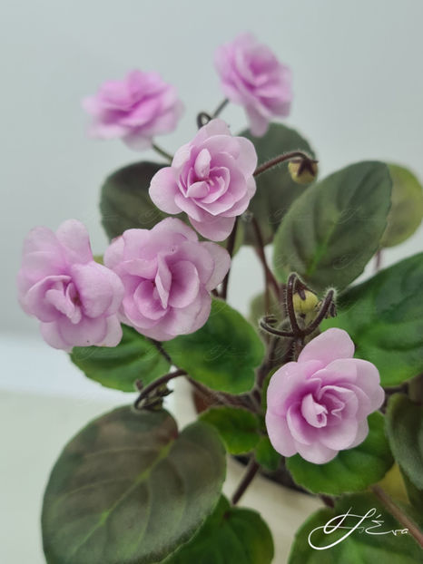  - Rob s Vanilla Trail