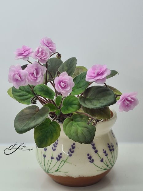  - Rob s Vanilla Trail