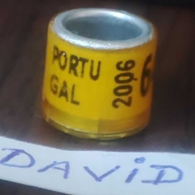 2006-Portugalia - Portugalia
