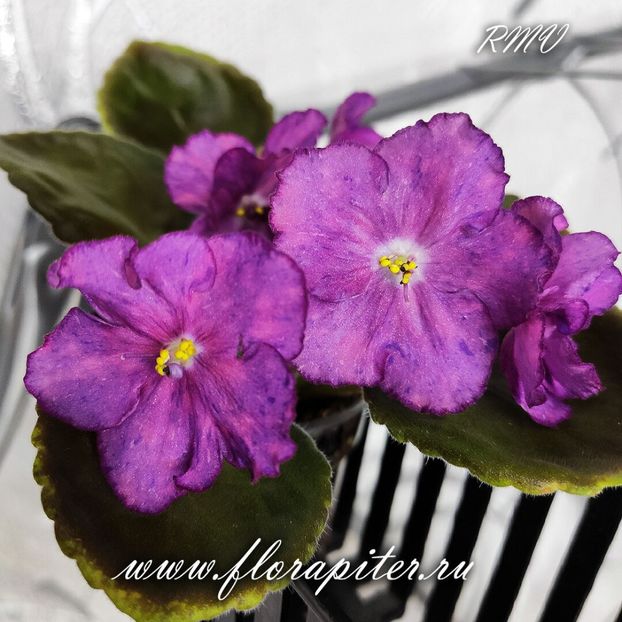 АВ-Фантастика - AV-Fantastika