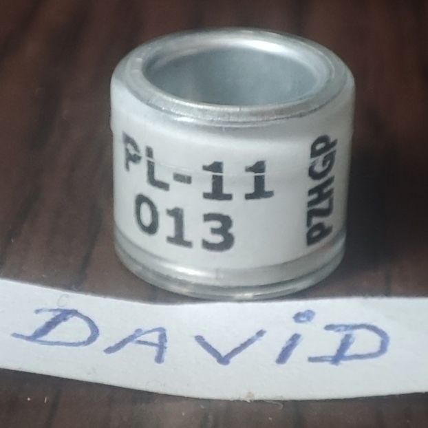 2011-Polonia - Polonia