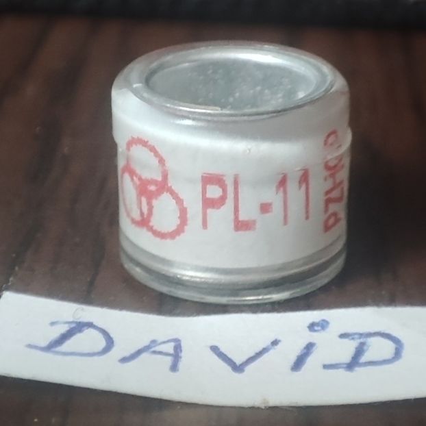 2011-Polonia - Polonia