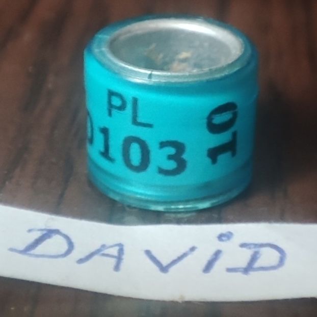 2010-Polonia - Polonia