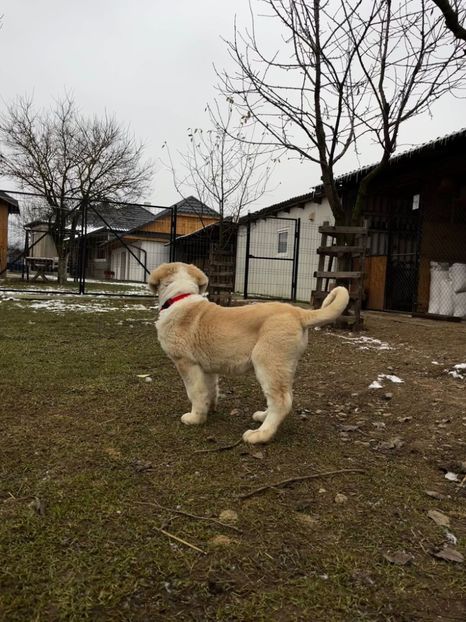 IMG-20250120-WA0013 - ASIA - CENTRALĂ