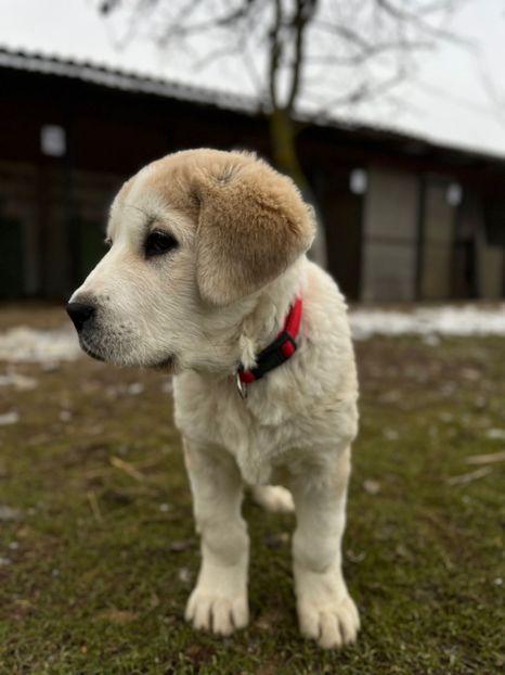 IMG-20250120-WA0015 - ASIA - CENTRALĂ