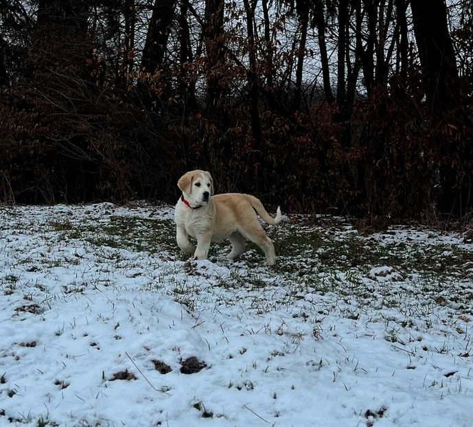 IMG-20250130-WA0049 - ASIA - CENTRALĂ