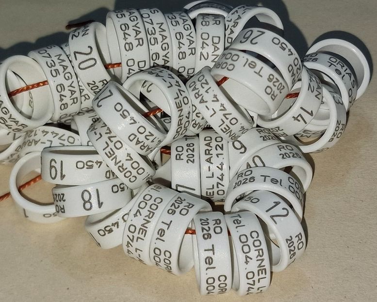  - 1-A-INELE PERSONALIZATE 2025