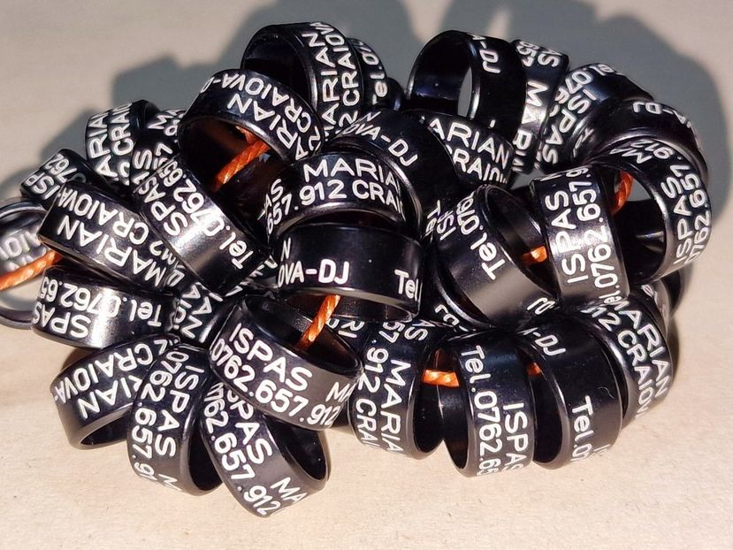  - 1-A-INELE PERSONALIZATE 2025