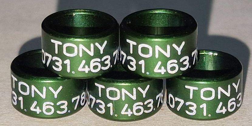  - 1-A-INELE PERSONALIZATE 2025