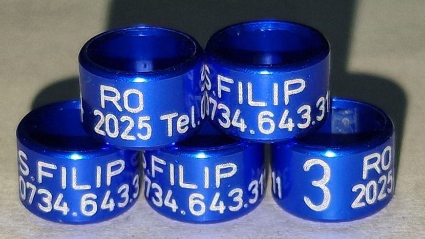  - 1-A-INELE PERSONALIZATE 2025